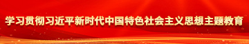 欧美丝袜操逼无套爆操学习贯彻习近平新时代中国特色社会主义思想主题教育